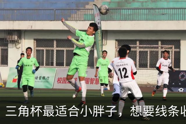 三角杯最适合小胖子，想要线条收着点就行