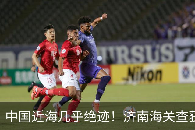 中国近海几乎绝迹！济南海关查获17只手镯，竟是由极危'国宝'制成