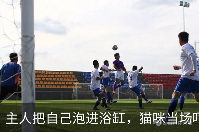 主人把自己泡进浴缸，猫咪当场吓得整个猫都站起来了，喵：不是不救你，是水太可怕了！