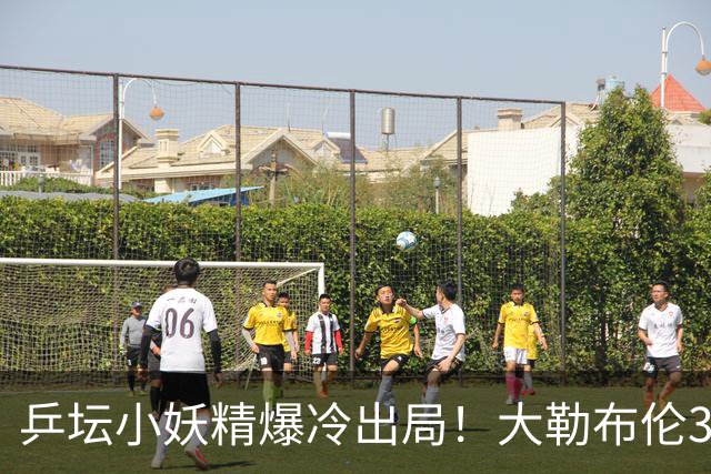 乒坛小妖精爆冷出局！大勒布伦3-2险胜晋级！与德国杜达组合争混双冠军！