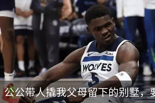 公公带人撬我父母留下的别墅，要卖1500万给小姑子还赌债，我掏出手机报了警，顺便叫来一大群记者