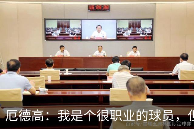 厄德高：我是个很职业的球员，但有时受伤就是运气不好