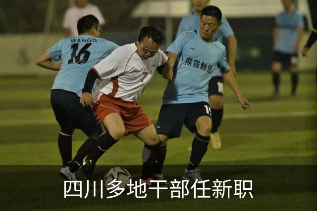 四川多地干部任新职