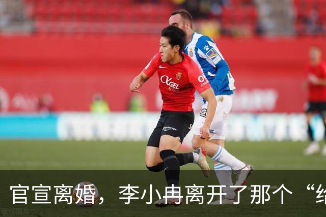 官宣离婚，李小冉离开了那个“给你五个亿让你作”的男人