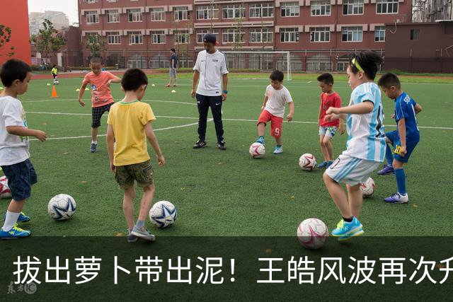 拔出萝卜带出泥！王皓风波再次升级，报警竟意外将半个饭圈拉下水