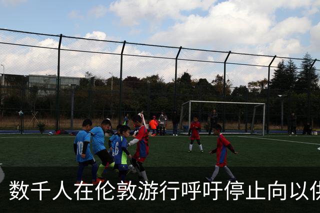 数千人在伦敦游行呼吁停止向以供应武器，抗议对巴勒斯坦种族灭绝