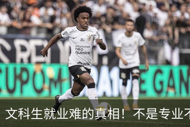 文科生就业难的真相！不是专业不行，是大学四年全都走错了