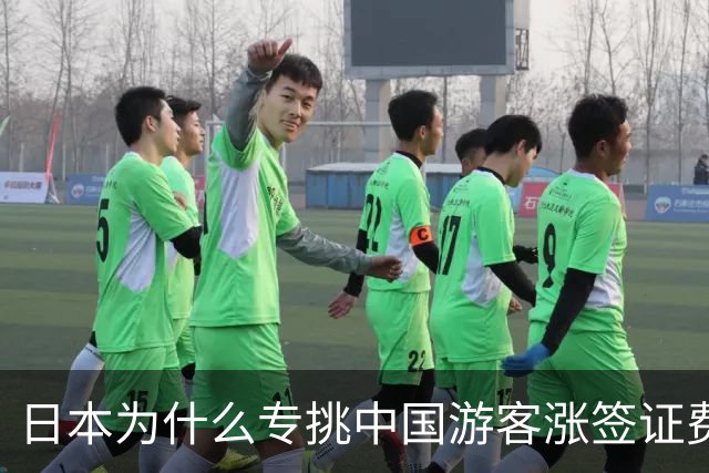 日本为什么专挑中国游客涨签证费