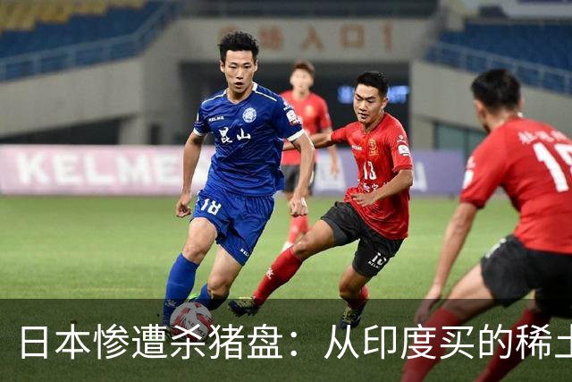 日本惨遭杀猪盘：从印度买的稀土都是中国货，这下血本无归了
