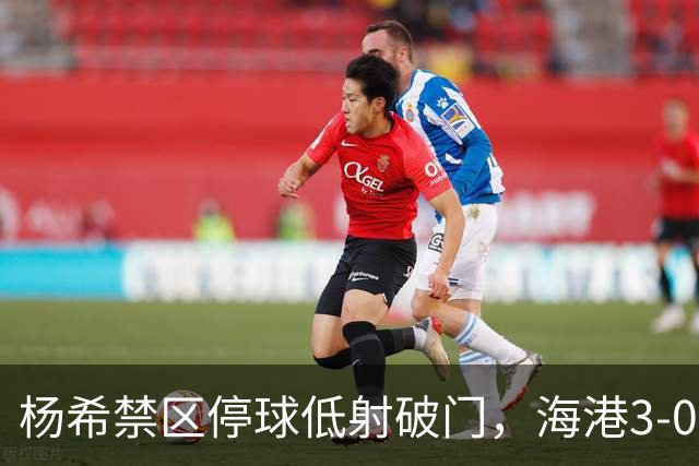 杨希禁区停球低射破门，海港3-0山东