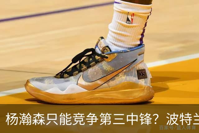 杨瀚森只能竞争第三中锋？波特兰媒体：发展联盟是现阶段最好舞台