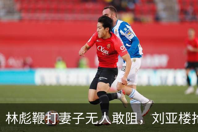 林彪鞭打妻子无人敢阻，刘亚楼抢鞭怒吼，林彪竟说：刘亚楼管我，我服！