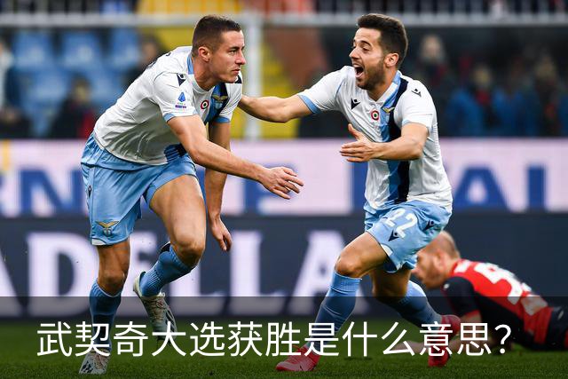 武契奇大选获胜是什么意思？