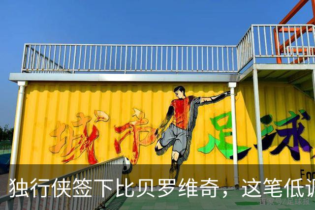 独行侠签下比贝罗维奇，这笔低调引援能补上投篮短板吗