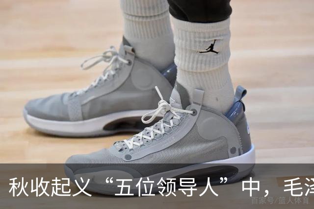秋收起义“五位领导人”中，毛泽东后来当选国家主席，另外四人的一生经历与最终结局究竟如何？