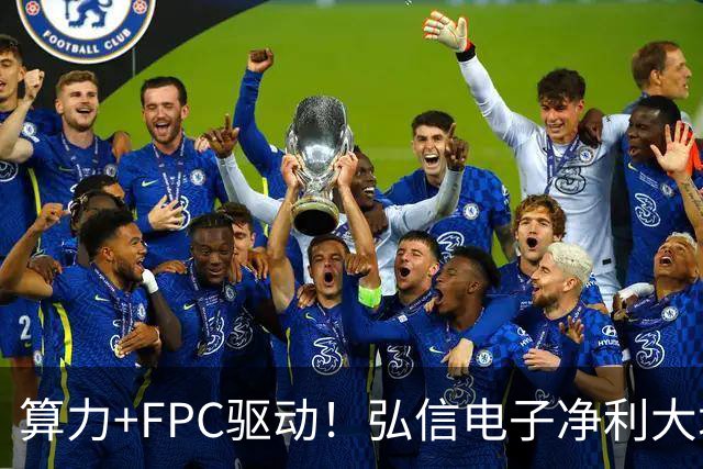 算力+FPC驱动！弘信电子净利大增139%，股价较年内高点回撤超40%