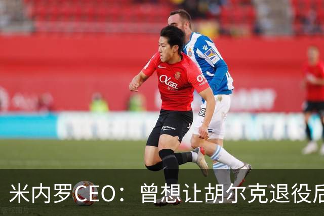 米内罗CEO：曾想让胡尔克退役后留队任职，但球员想继续踢球