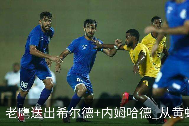 老鹰送出希尔德+内姆哈德 从黄蜂得到芬尼-史密斯