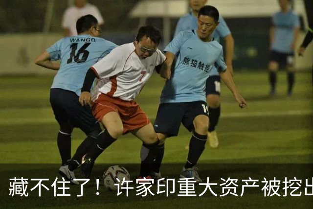 藏不住了！许家印重大资产被挖出，186.5亿转给了“重庆李嘉诚”