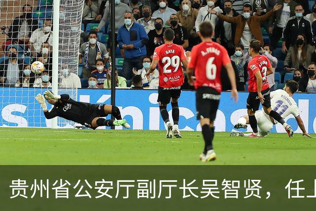 贵州省公安厅副厅长吴智贤，任上被查