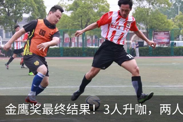 金鹰奖最终结果！3人升咖，两人被骂，1人颗粒无收，他是最可怜的