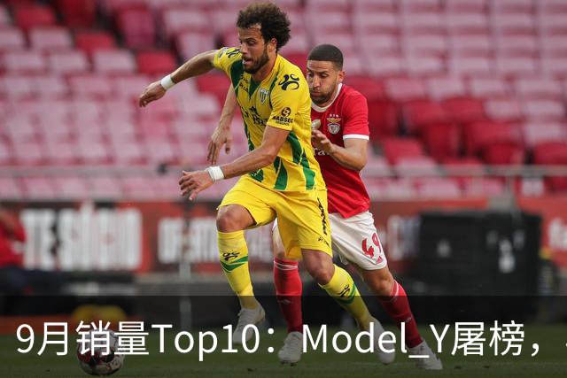 9月销量Top10：Model Y屠榜，丰田双油车爆发，国产20万级仅一款能打？