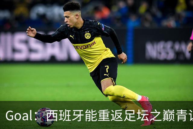 Goal：西班牙能重返足坛之巅青训和足协的系统建设是重要基础